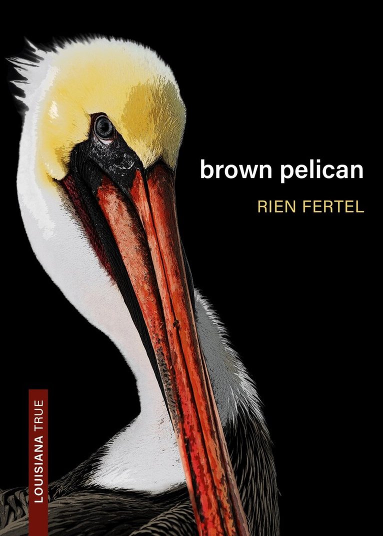 Rien Fertel - Brown Pelican, Häftad