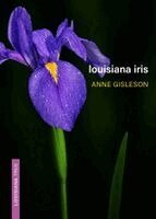 Anne Gisleson - Louisiana Iris, Häftad. Tillgänglighet: Kommande