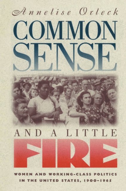 Annelise Orleck - Common Sense and a Little Fire, E-bok