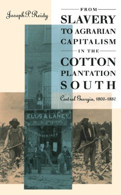 Joseph P. Reidy - From Slavery to Agrarian Capitalism in the Cotton Plantation South, E-bok