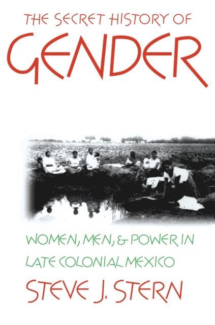 Steve J. Stern - Secret History of Gender, E-bok