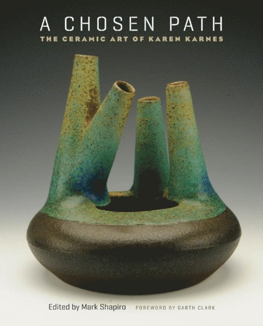 Mark Shapiro - Chosen Path, E-bok