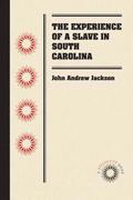 The Experience of a Slave in South Carolina