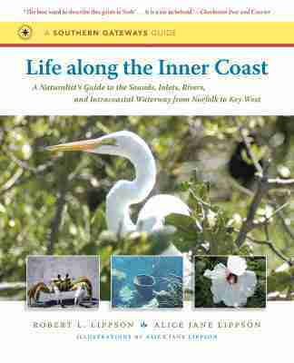 Alice Jane Lippson - Life Along the Inner Coast, Häftad. Tillgänglighet: Lägg i varukorg