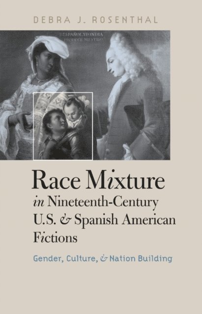 Debra J. Rosenthal - Race Mixture in Nineteenth-Century U.S. and Spanish American Fictions, E-bok
