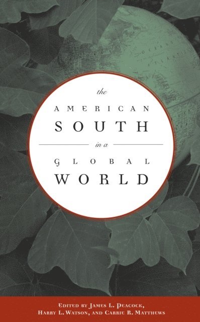 Carrie R. Matthews, Harry L. Watson, James L. Peacock - American South in a Global World, E-bok