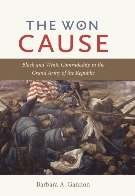 Barbara A. Gannon - Won Cause, E-bok