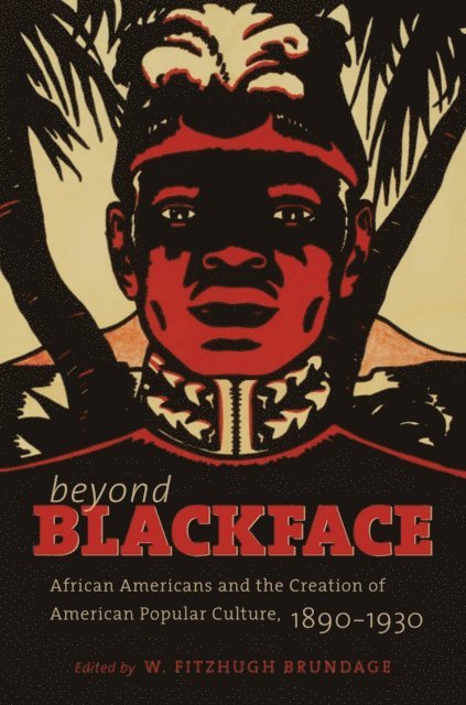 W. Fitzhugh Brundage - Beyond Blackface, E-bok