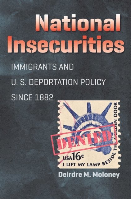 Deirdre M. Moloney - National Insecurities, E-bok