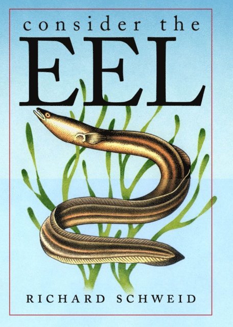 Richard Schweid - Consider the Eel, E-bok