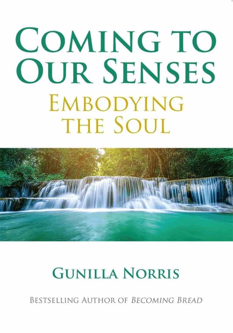 Gunilla Norris - Coming to Our Senses, Häftad