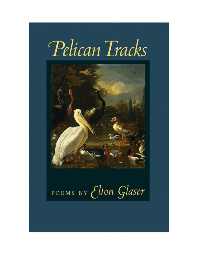 Elton Glaser - Pelican Tracks, Häftad. Tillgänglighet: Tillfälligt slut
