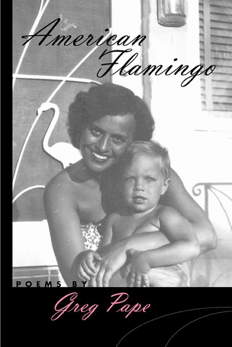 Greg Pape - American Flamingo, Häftad. Tillgänglighet: Tillfälligt slut