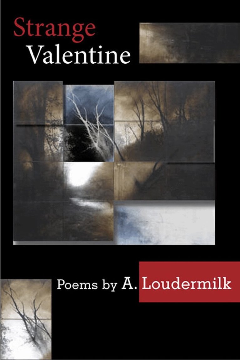 Southern Illinois University Press - Strange Valentine, Häftad. Tillgänglighet: Tillfälligt slut
