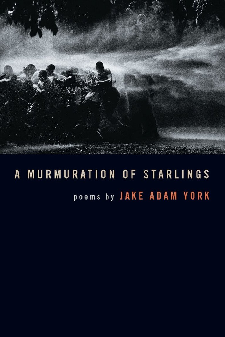 Jake A. York - Murmuration of Starlings, Häftad