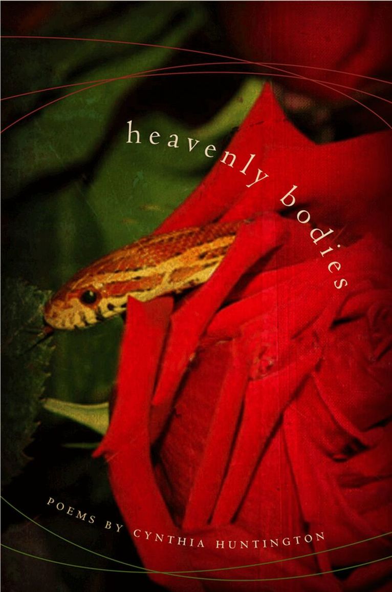 Cynthia Huntington - Heavenly Bodies, Häftad. Tillgänglighet: Tillfälligt slut