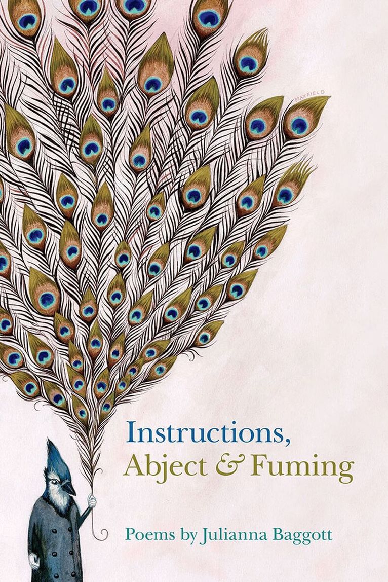 Julianna Baggott - Instructions, Häftad. Tillgänglighet: Tillfälligt slut