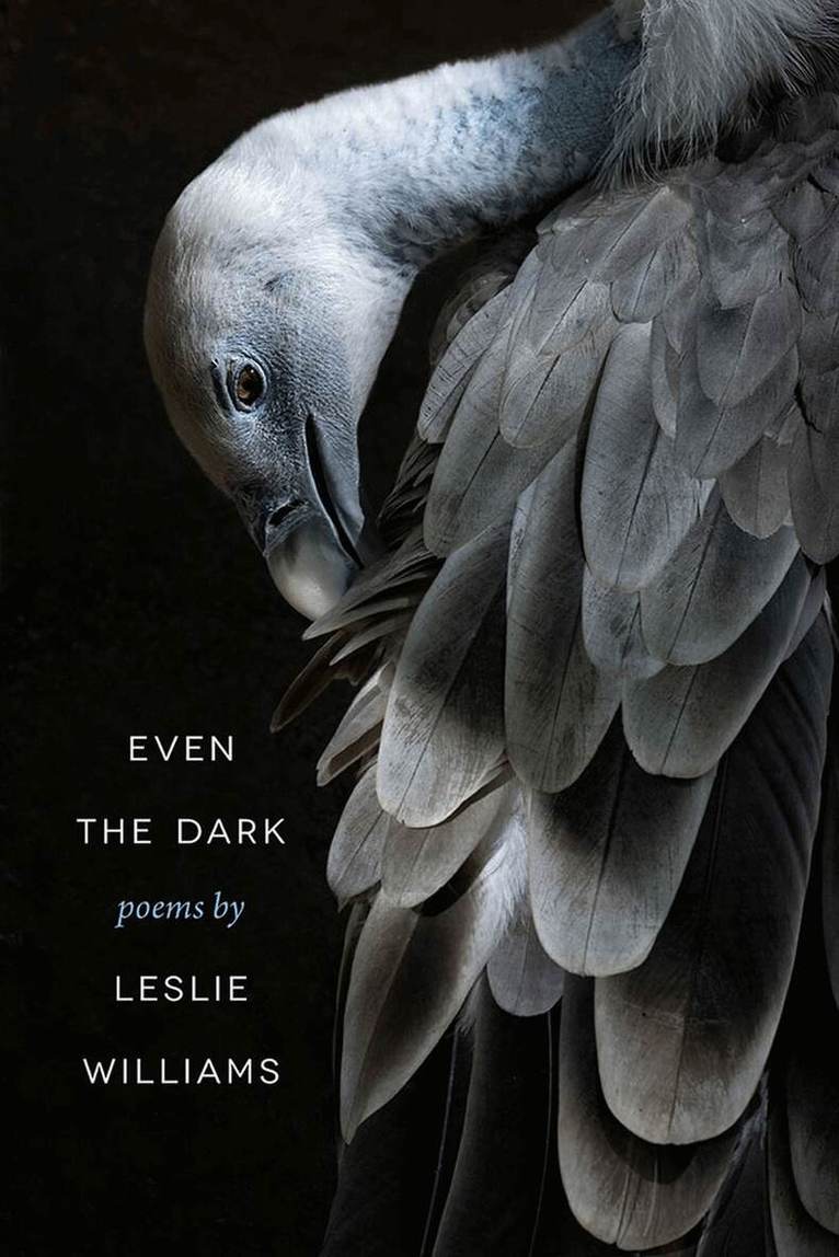 Leslie Williams - Even the Dark, Häftad. Tillgänglighet: Tillfälligt slut
