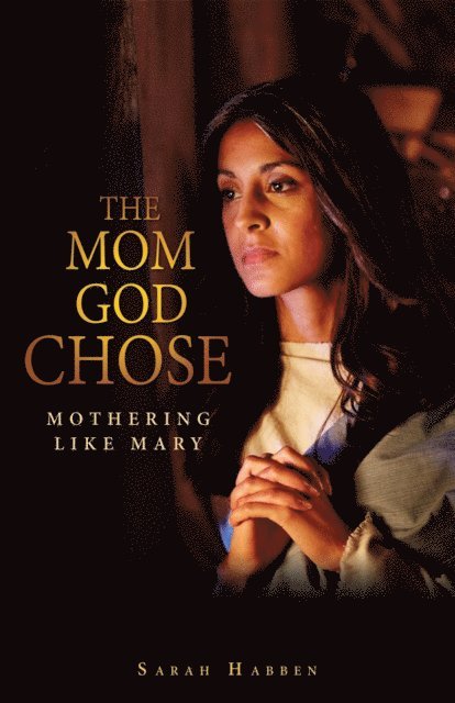 Sarah Habben - Mom God Chose, E-bok