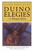 Duino Elegies