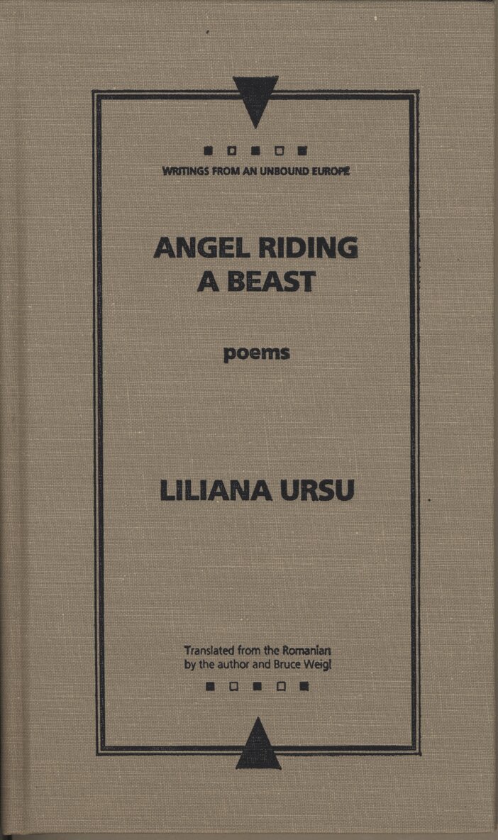 Liliana Ursu - Angel Riding a Beast, Häftad