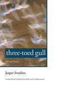 Three-toed Gull
