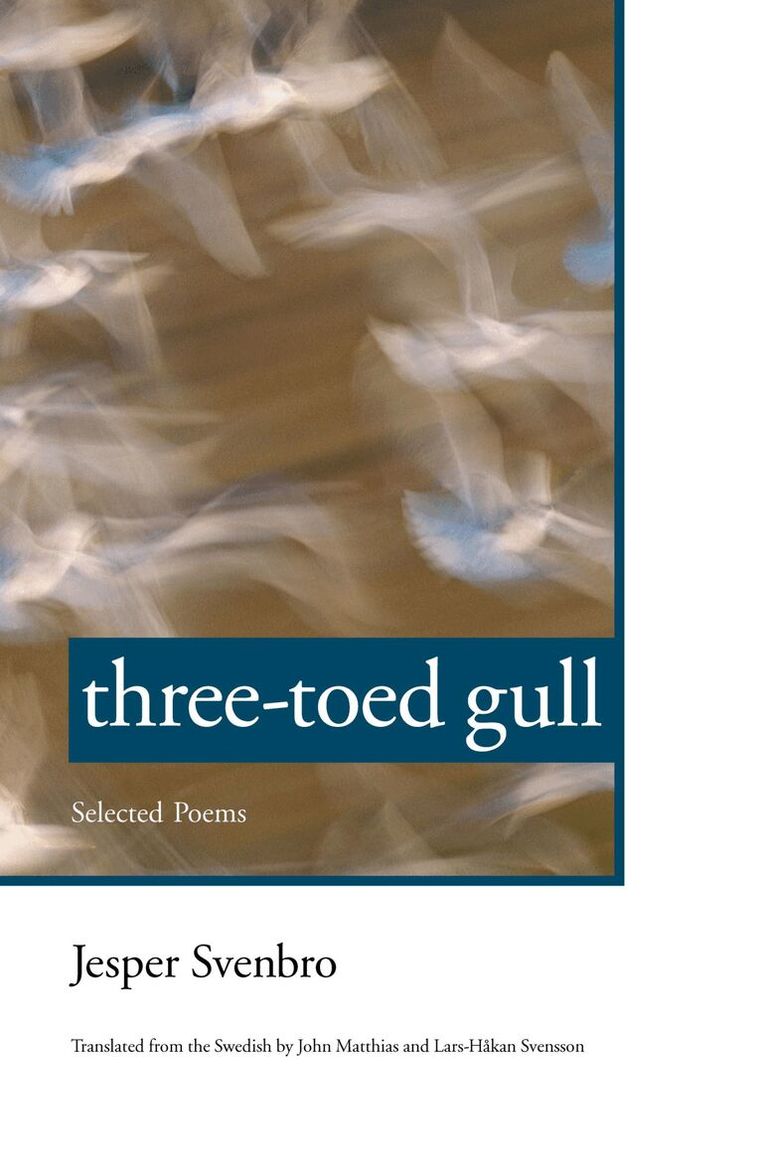 Jesper Svenbro - Three-toed Gull, Häftad