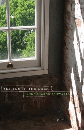 Lynne Sharon Schwartz - See You in the Dark, Häftad