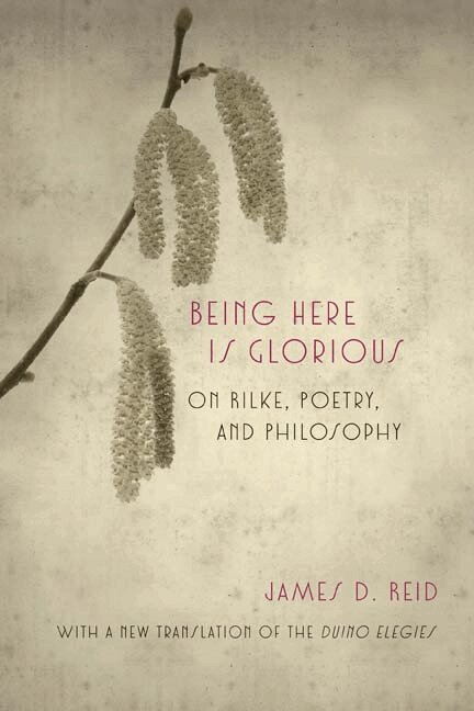 James D. Reid - Being Here Is Glorious, Häftad