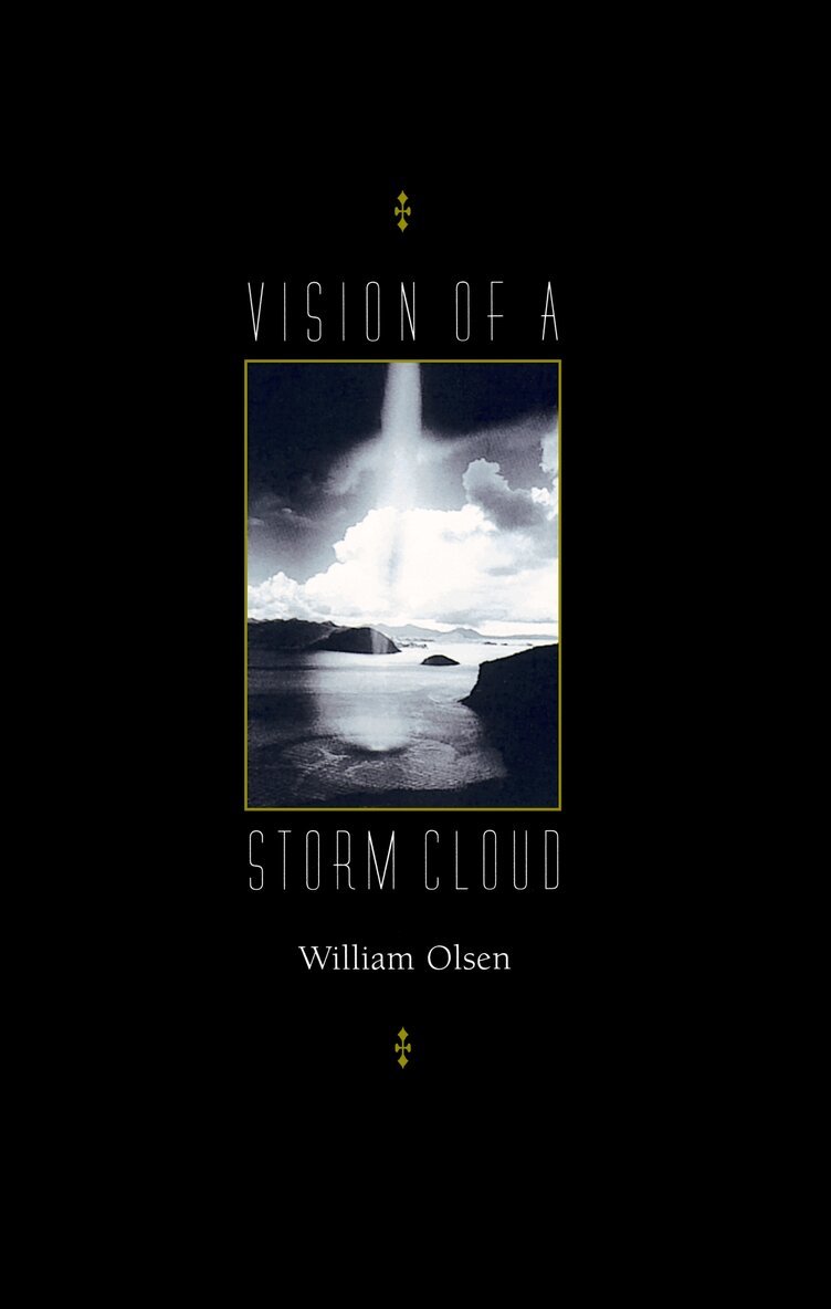 William Olsen - Vision of a Storm Cloud, Häftad. Tillgänglighet: Tillfälligt slut