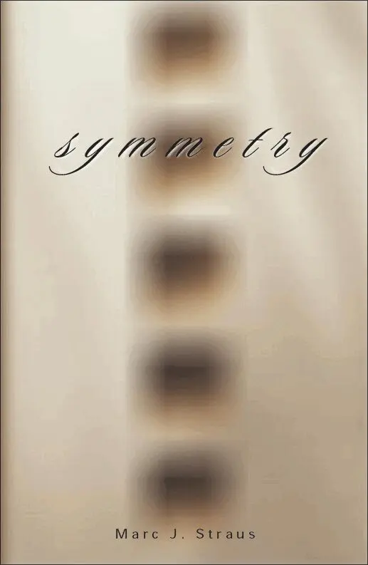 Marc J. Straus - Symmetry, Häftad. Tillgänglighet: Lägg i varukorg