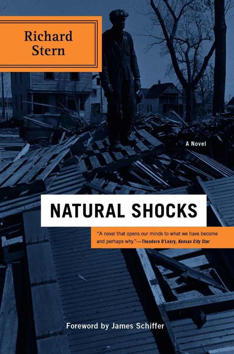Richard Martin Stern - Natural Shocks, Häftad. Tillgänglighet: Tillfälligt slut