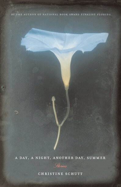 Christine Schutt - Day, a Night, Another Day, Summer, Inbunden