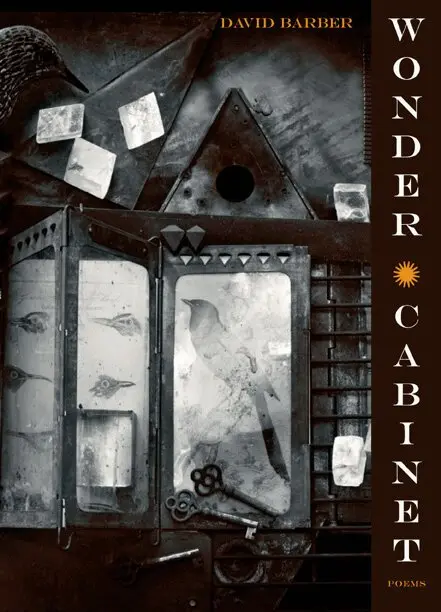 David Barber - Wonder Cabinet, Häftad. Tillgänglighet: Tillfälligt slut