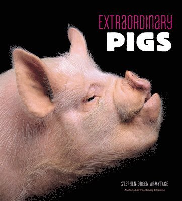 Stephen Green-Armytage - Extraordinary Pigs, Inbunden