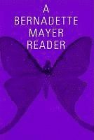 Bernadette Mayer Reader