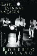 Last Evening on Earth