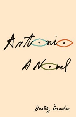 Beatriz Bracher - Antonio, Häftad