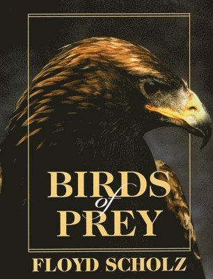 Floyd Scholz - Birds of Prey, Inbunden. Tillgänglighet: Tillfälligt slut
