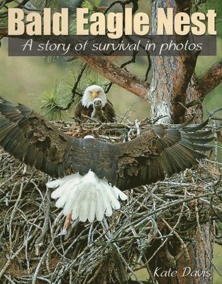 Kate Davis - Bald Eagle Nest, Häftad. Tillgänglighet: Tillfälligt slut