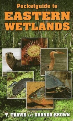 T Travis Brown, Shanda Brown - Pocketguide to Eastern Wetlands, Häftad. Tillgänglighet: Tillfälligt slut