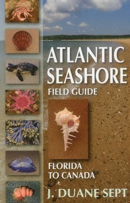 Atlantic Seashore Field Guide