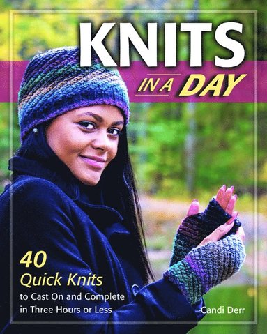 Knits in a Day av Candi Derr