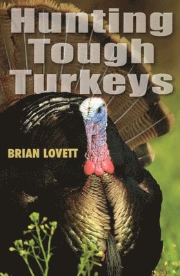 Brian Lovett - Hunting Tough Turkeys, Häftad. Tillgänglighet: Tillfälligt slut
