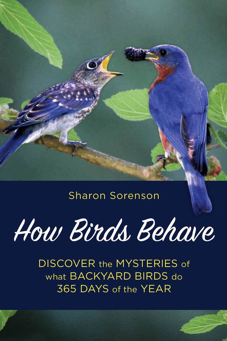 Sharon Sorenson - How Birds Behave, Häftad. Tillgänglighet: Tillfälligt slut