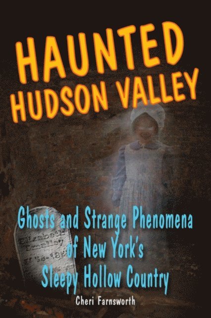 Cheri Farnsworth - Haunted Hudson Valley, E-bok