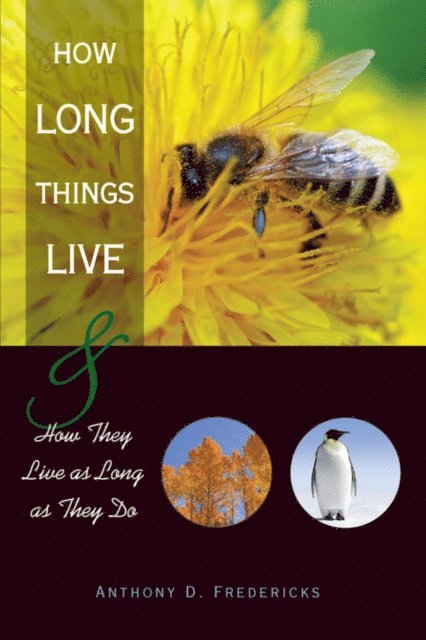 Anthony D. Fredericks - How Long Things Live, E-bok