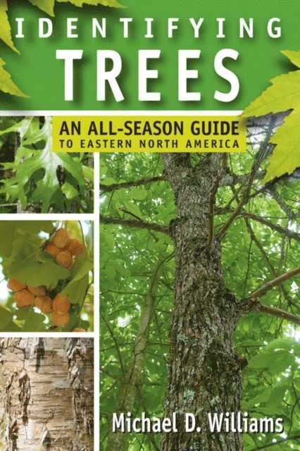 Michael D. Williams - Identifying Trees, E-bok