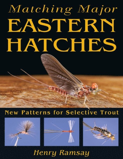 Henry Ramsay - Matching Major Eastern Hatches, E-bok