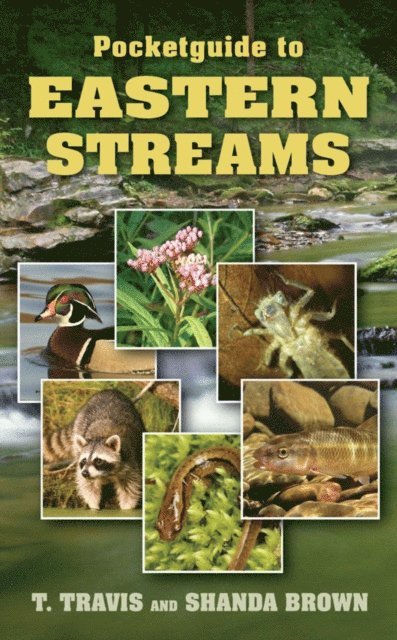 Shanda Brown, T. Travis - Pocketguide to Eastern Streams, E-bok